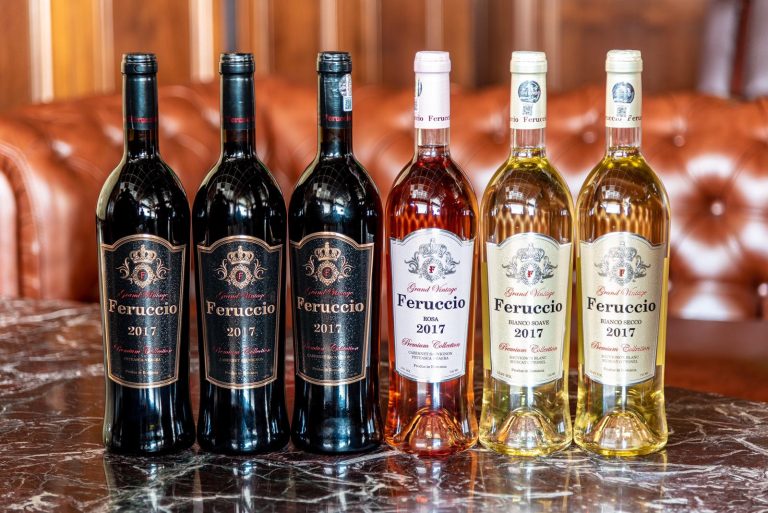 473092647_1024972249645699_6316817985908195647_n