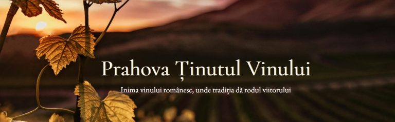 WhatsApp Image 2025-11-27 at 14.27.11