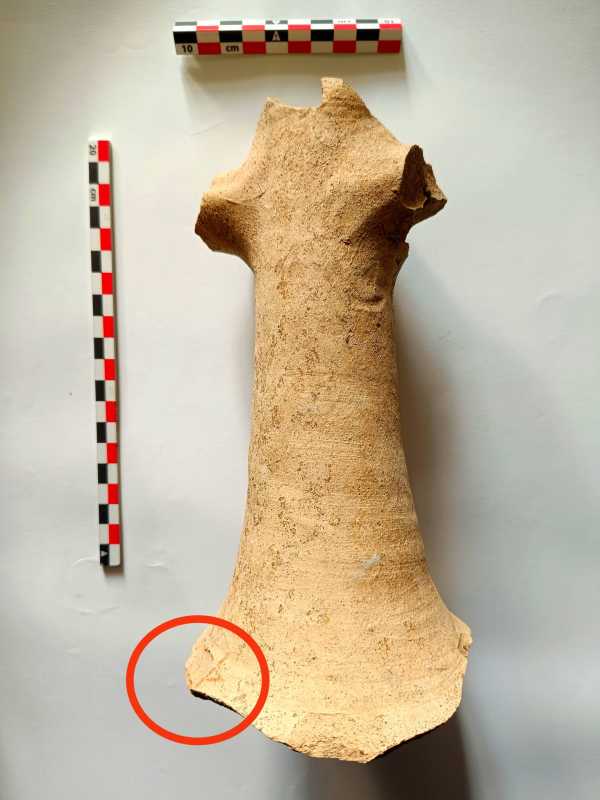 20260117103206_616568