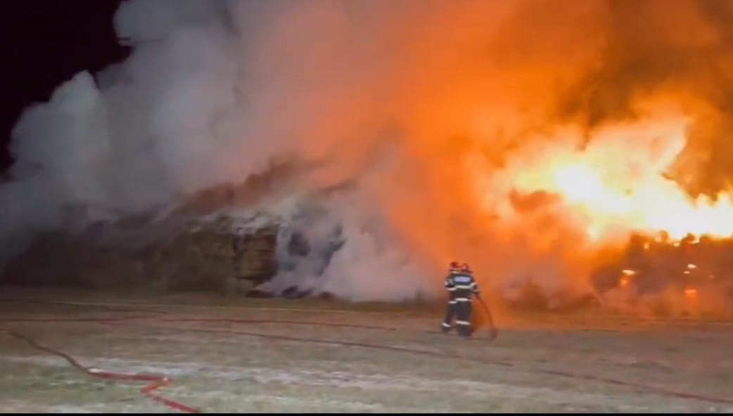 55cdeadf-22ce-4f99-9b79-f516febc55de