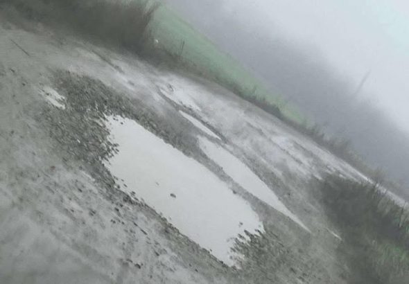 617610196_1425921472395343_6374636056137921878_n