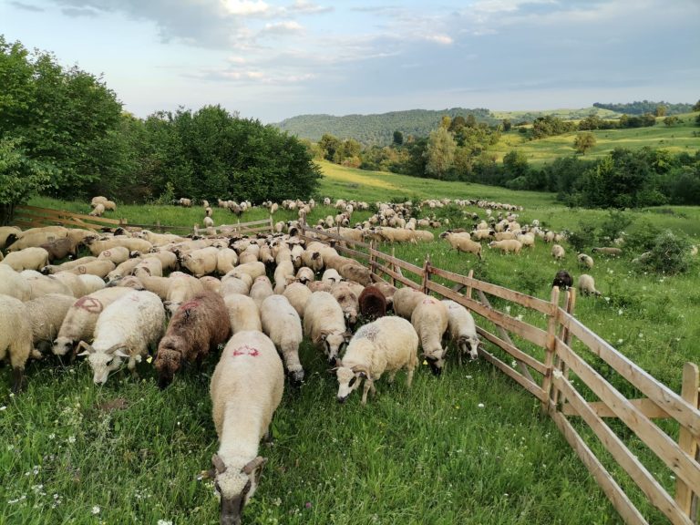 WhatsApp Image 2021-10-07 at 13.16.35