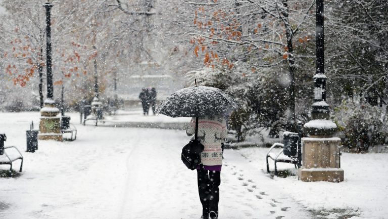 YTljYmEzOWExMWE4YzU1YjgyODlkMjZhOTc=.thumb