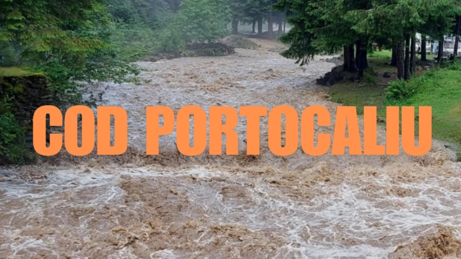 media-172767183578329100