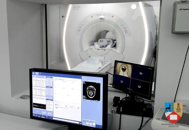 628436523_1412306604024200_8103243897794450653_n