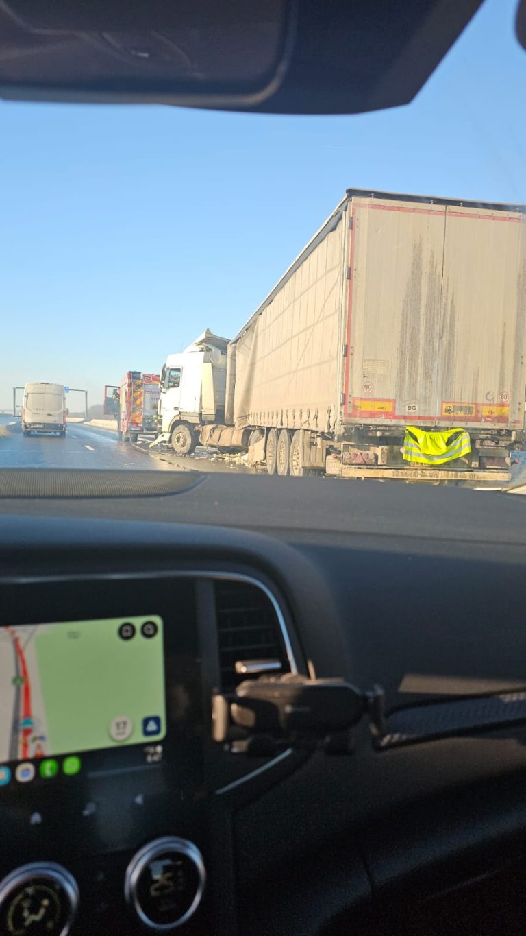 WhatsApp Image 2026-02-19 at 08.56.50