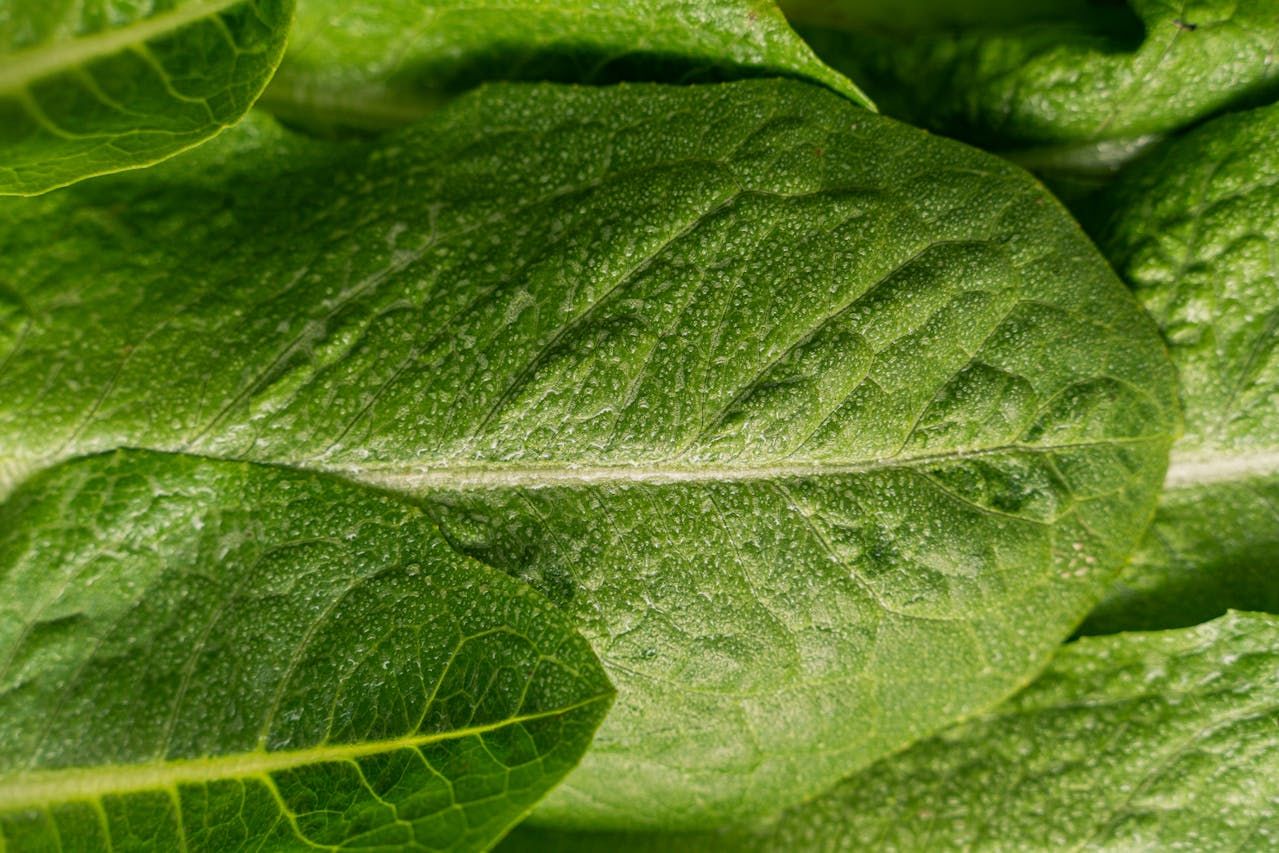 801045l-1360x0-w-bc92ef51