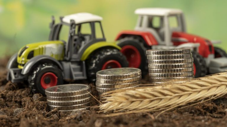 acordul-ue-mercosur-intra-provizoriu-in-vigoare-de-la-1-mai-5390083 (1)