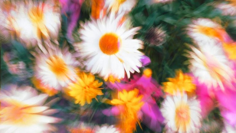 primavara-incepe-simbolic-vineri-20-martie-ce-este-echinoctiul-de-primavara-si-ce-sa-faci-in-aceasta-zi-ca-sa-ai-noroc-de-bani-5388150