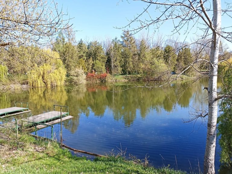 parc-bucov-constantin-stere-ploiesti