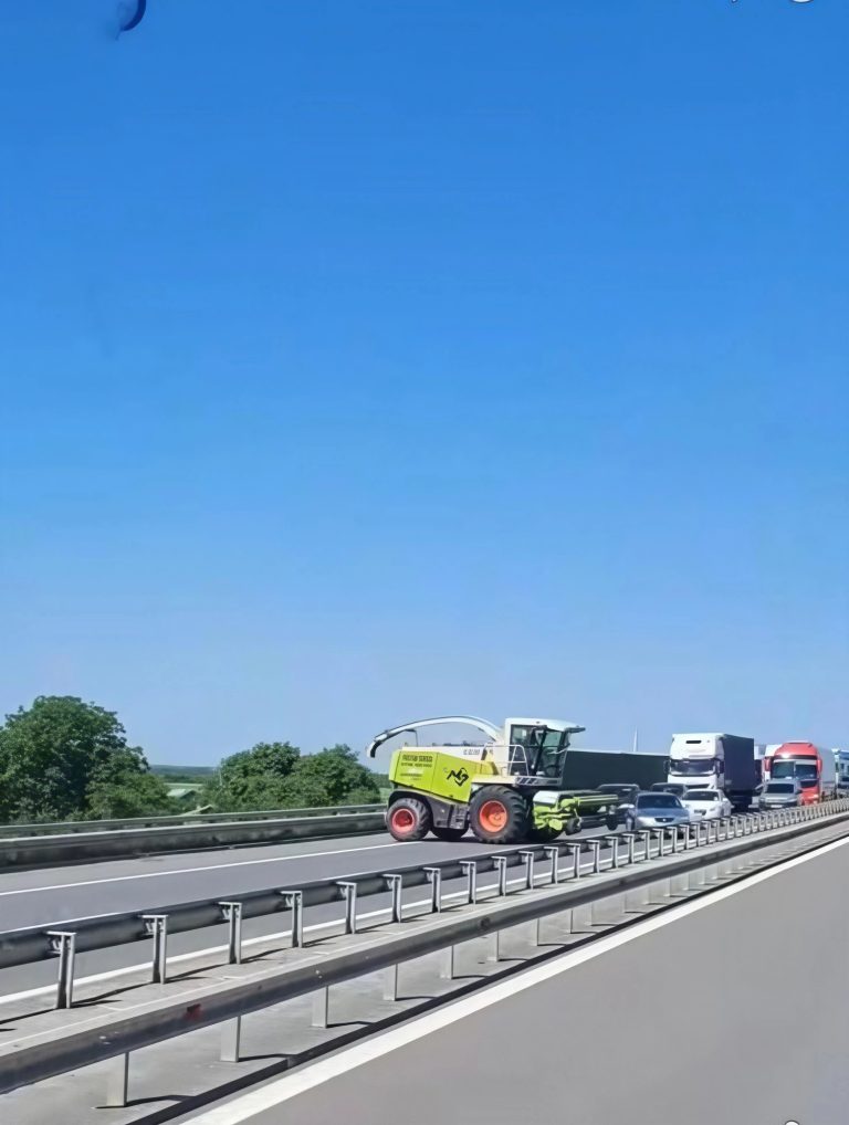 709066792_1461691429331340_3421050850330493129_n