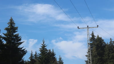 IMG_3949