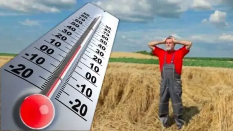 Meteo-seceta-16-9-WEB-768x432