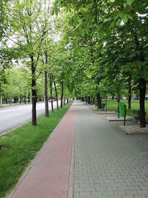 bulevard