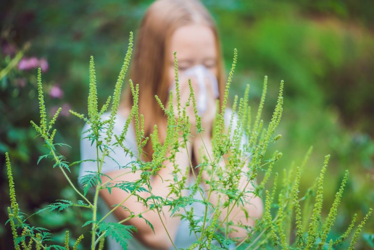 Young,Woman,Sneezes,Because,Of,An,Allergy,To,Ragweed.