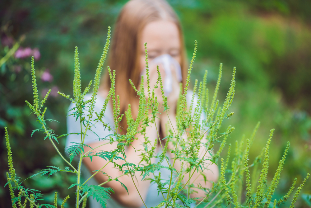 Young,Woman,Sneezes,Because,Of,An,Allergy,To,Ragweed.