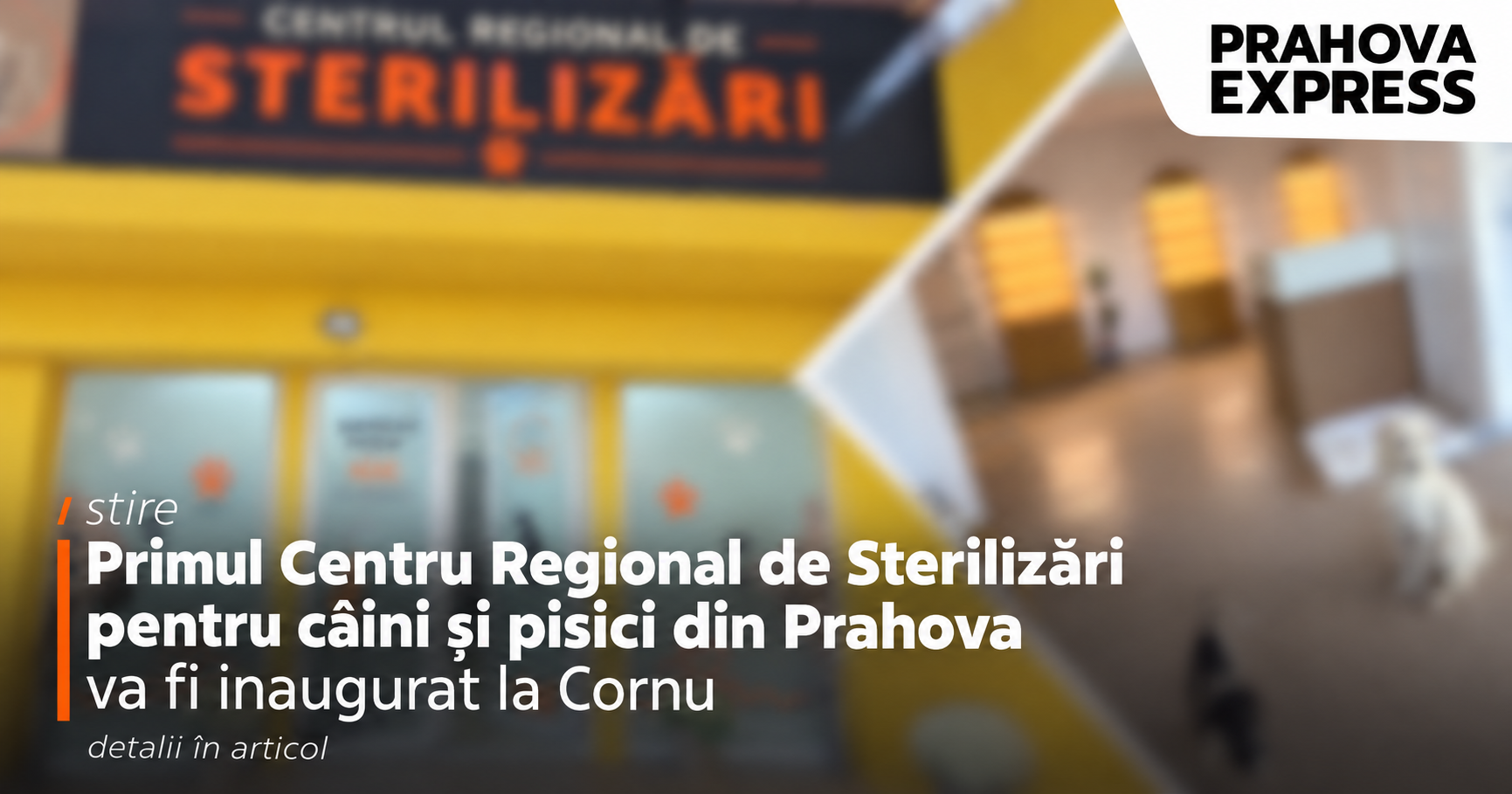 Fără titlu