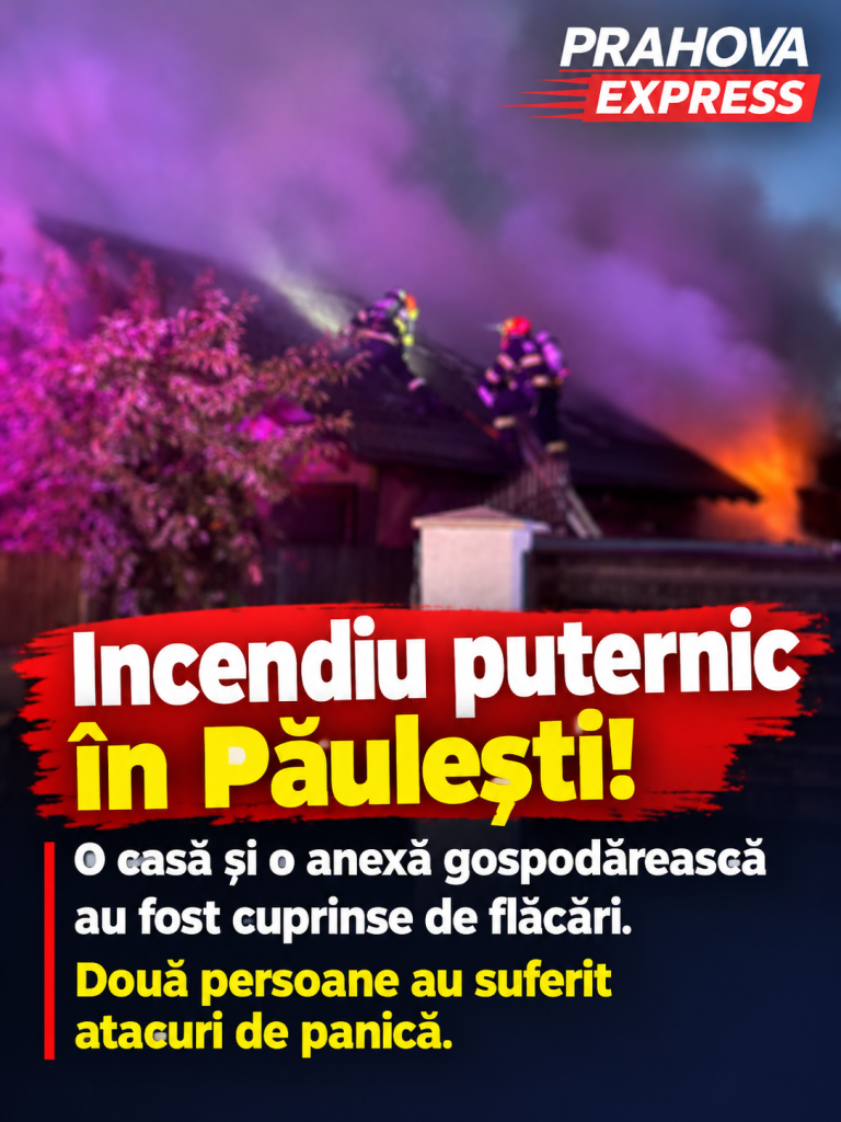Incendiu puternic în Păulești