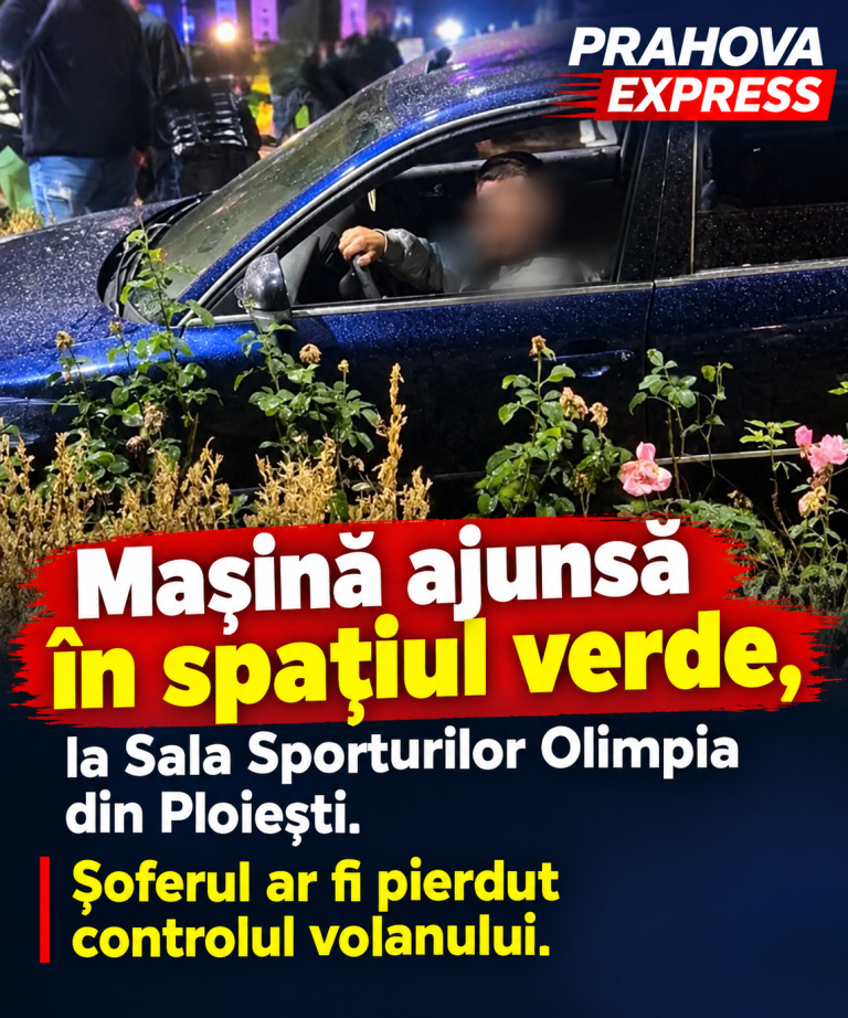 Mașină ajunsă în spațiul verde