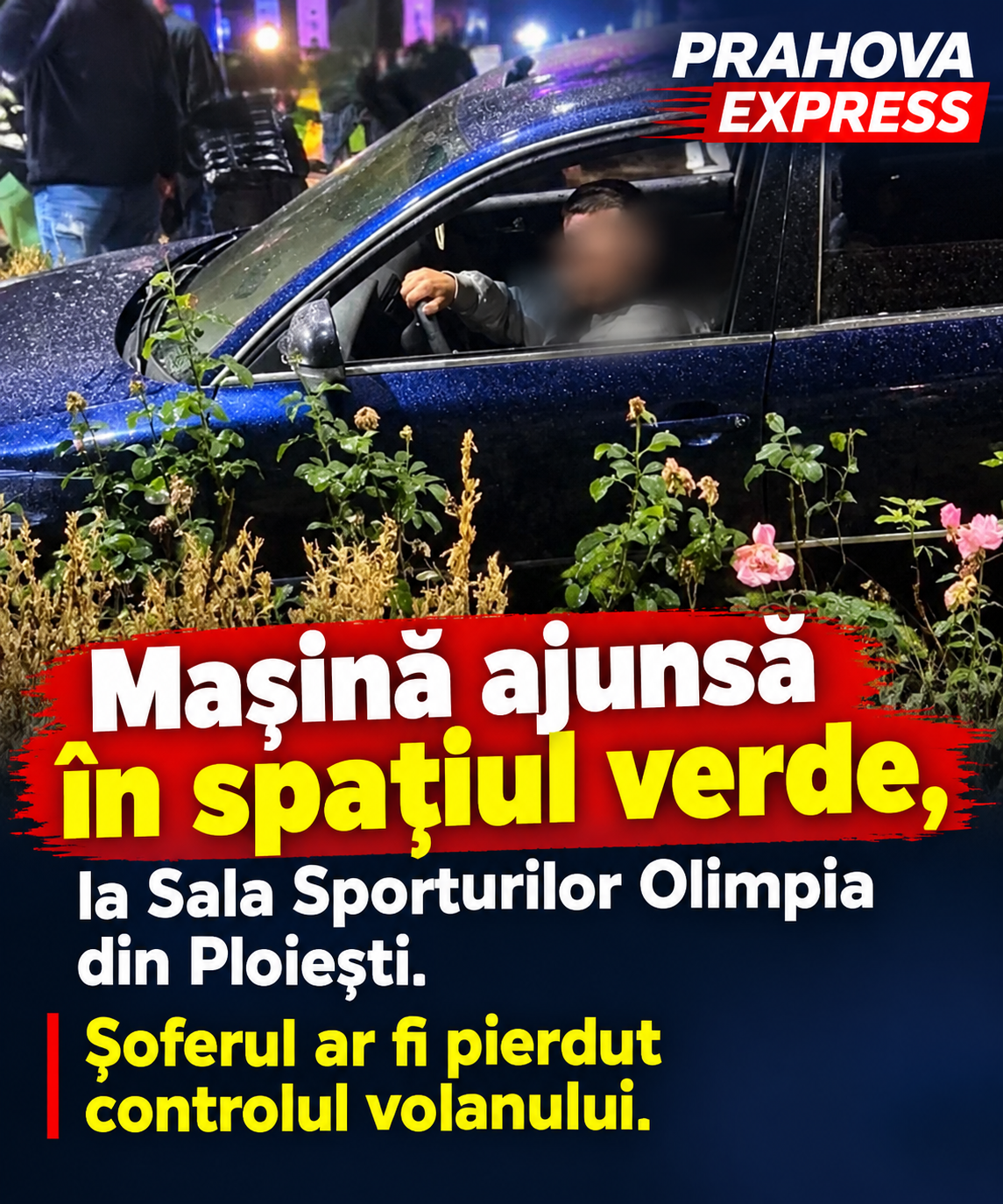 Mașină ajunsă în spațiul verde